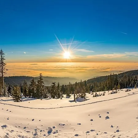 Nr 24, Typ A, Jaegerpark, Bayerischer Wald Viechtach