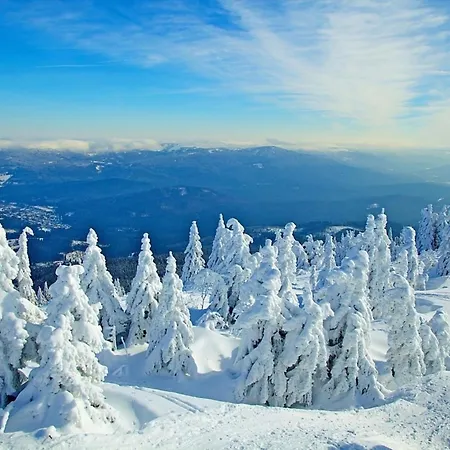 Nr 24, Typ A, Jaegerpark, Bayerischer Wald