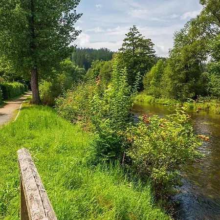 Semesterbostad Nr 24, Typ A, Jaegerpark, Bayerischer Wald